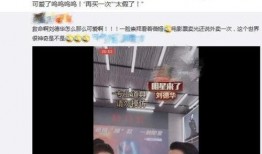 小齐的四个菜爆料视频播放,家常美味背后的烹饪秘诀